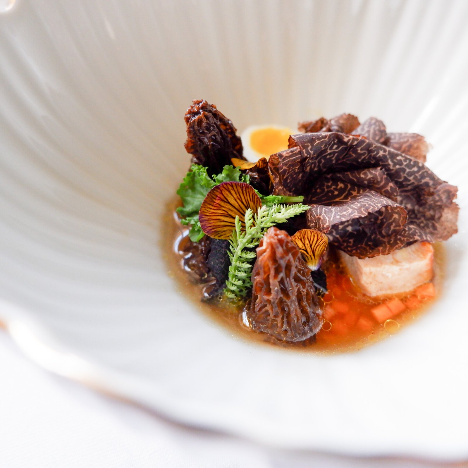 Fine-Dining-Hauptgang mit Morcheln und Trüffel