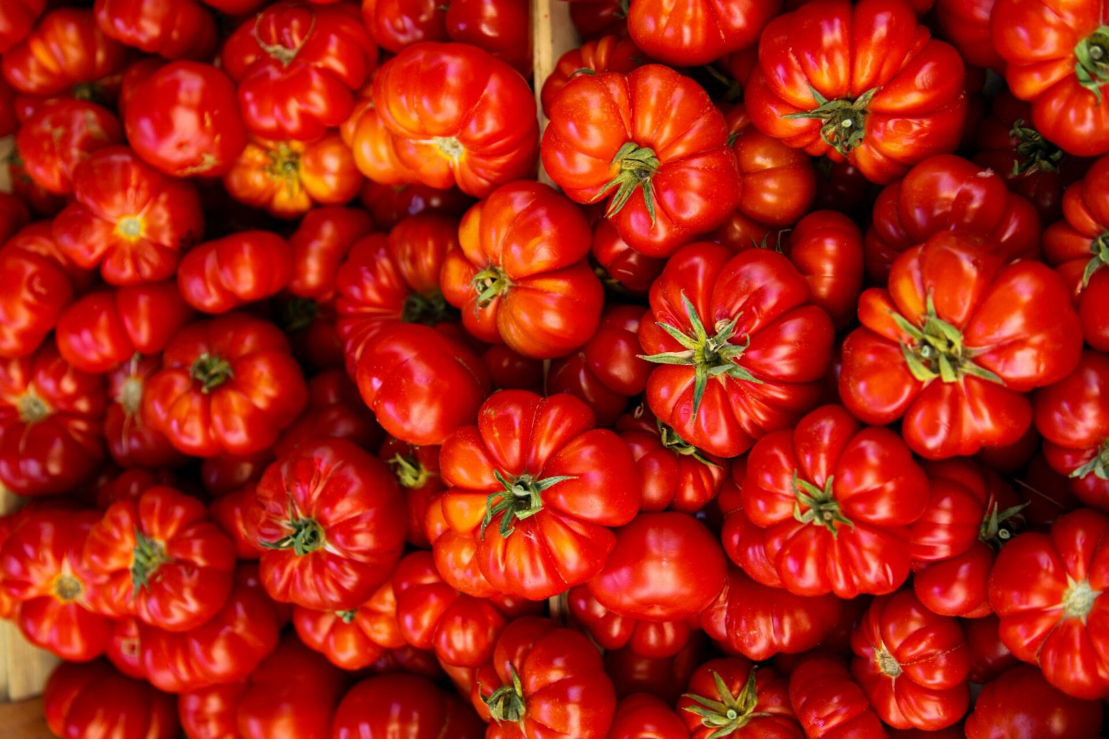 Reife Tomaten für die Rezepte von Marius Mutschinski